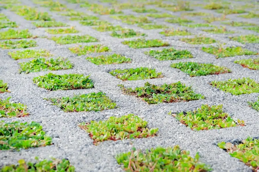 Permeable-Pavement-Tacoma-WA